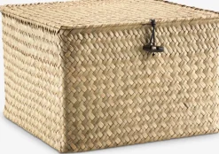 Todas Las Cestas|Cestas Y Cajas>JYSK ALVINCaja ALVIN A26xL26xA17cm hierba marina