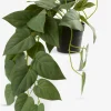 Plantas Artificiales>JYSK ANDERSENPlanta artificial ANDERSEN L43cm colgante