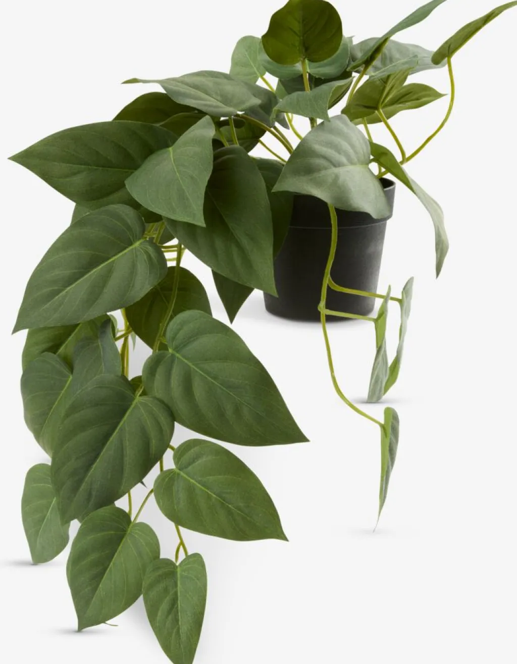 Plantas Artificiales>JYSK ANDERSENPlanta artificial ANDERSEN L43cm colgante
