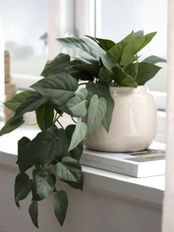 Plantas Artificiales><noscript><img width=