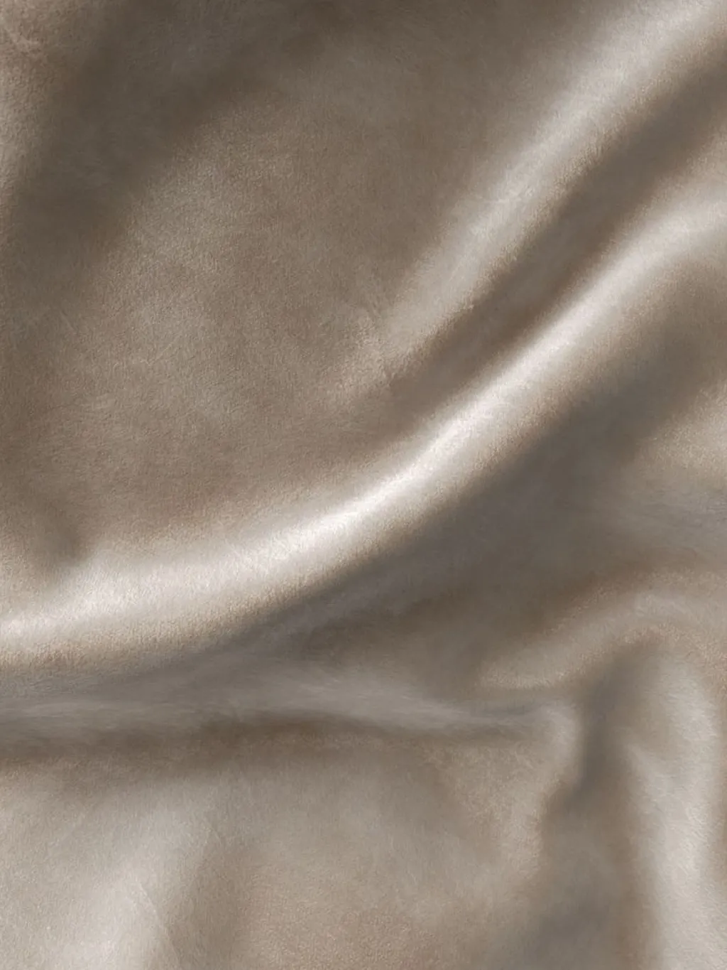 Cortinas Gruesas>JYSK AUSTRACortina AUSTRA 1x140x300 terciopelo topo Taupe