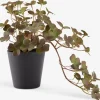 Plantas Artificiales>JYSK BERGURPlanta artificial BERGUR L21cm colgante