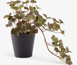 Plantas Artificiales>JYSK BERGURPlanta artificial BERGUR L21cm colgante