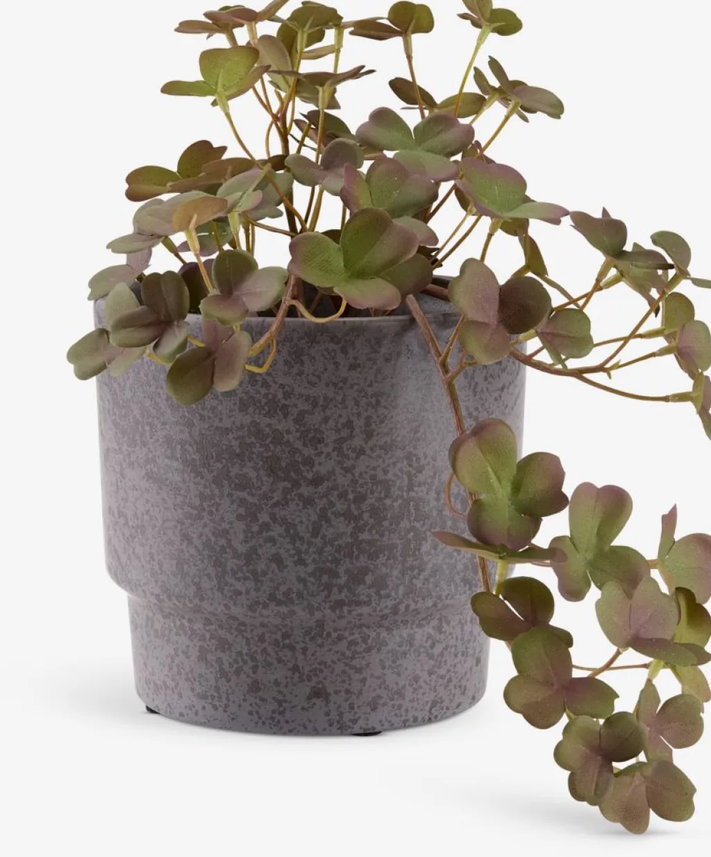 Plantas Artificiales>JYSK BERGURPlanta artificial BERGUR L21cm colgante