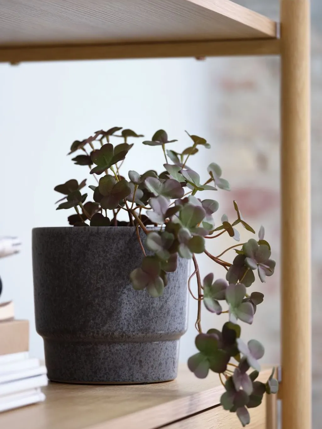 Plantas Artificiales>JYSK BERGURPlanta artificial BERGUR L21cm colgante
