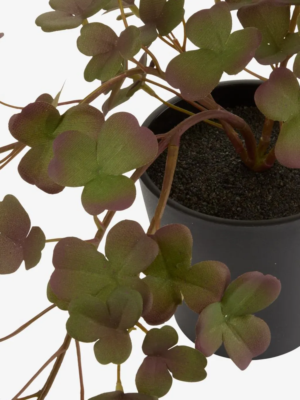 Plantas Artificiales>JYSK BERGURPlanta artificial BERGUR L21cm colgante