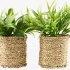 Plantas Artificiales>JYSK BERTRAMPlanta artificial BERTRAM Ø8xA18cm variado