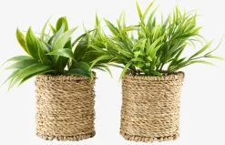 Plantas Artificiales>JYSK BERTRAMPlanta artificial BERTRAM Ø8xA18cm variado