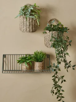 Plantas Artificiales>JYSK BERTRAMPlanta artificial BERTRAM Ø8xA18cm variado