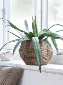 Plantas Artificiales>JYSK CELIUSPlanta artificial CELIUS A65cm aloe vera