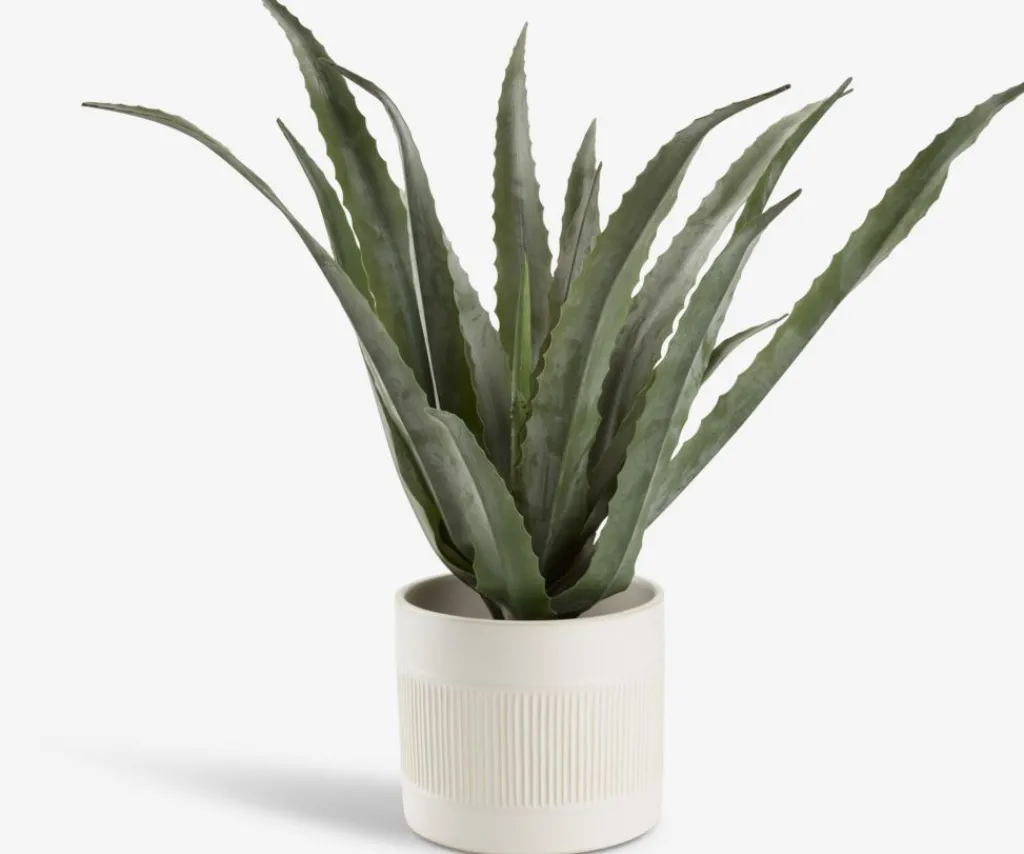 Plantas Artificiales>JYSK CELIUSPlanta artificial CELIUS A65cm aloe vera