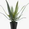 Plantas Artificiales>JYSK CELIUSPlanta artificial CELIUS A39cm verde