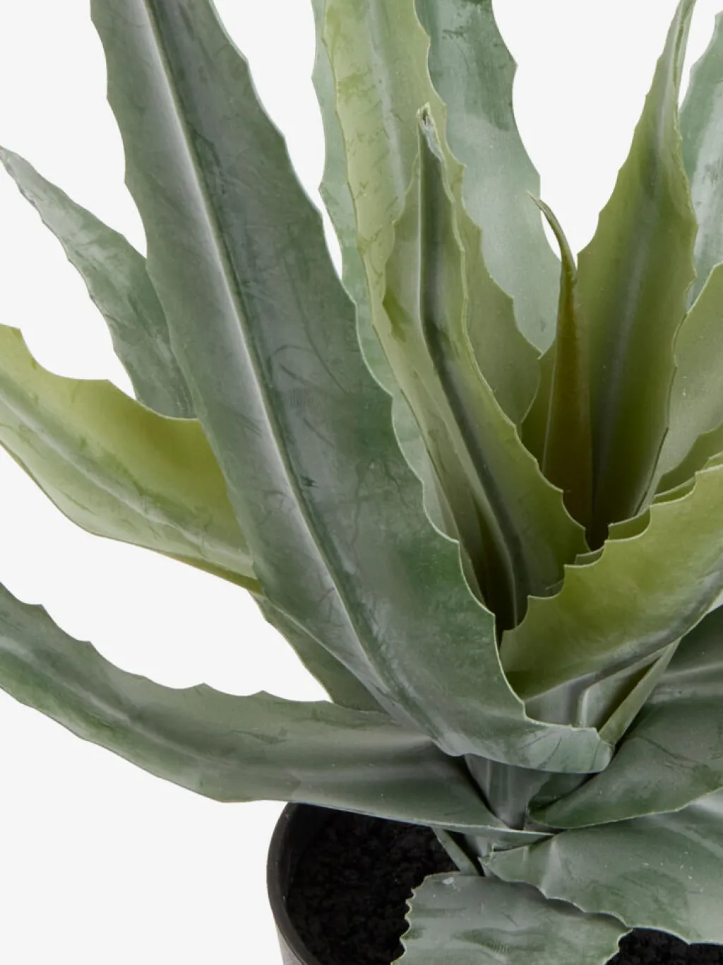 Plantas Artificiales>JYSK CELIUSPlanta artificial CELIUS A39cm verde
