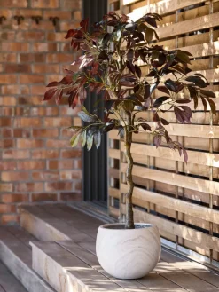 Plantas Artificiales Exterior><noscript><img width=