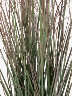 Plantas Artificiales Exterior>JYSK EDERFUGLPlanta artificial EDERFUGL A80 gramínea verde