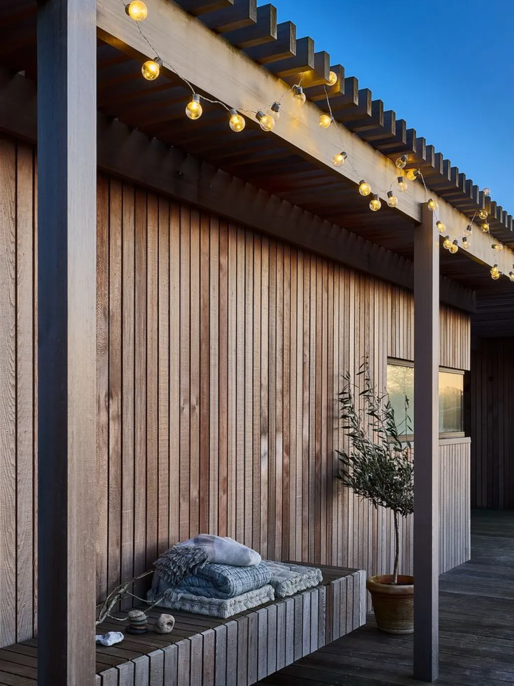 Iluminación Exterior>JYSK FINKGuirnalda de luces exterior FINK L735cm 50 LED transparente