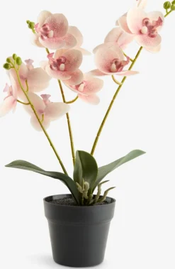 Plantas Artificiales>JYSK GUDJONPlanta artificial GUDJON A35cm orquídea rosa