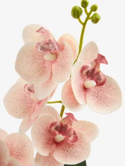 Plantas Artificiales>JYSK GUDJONPlanta artificial GUDJON A35cm orquídea rosa