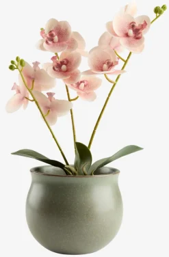 Plantas Artificiales><noscript><img width=