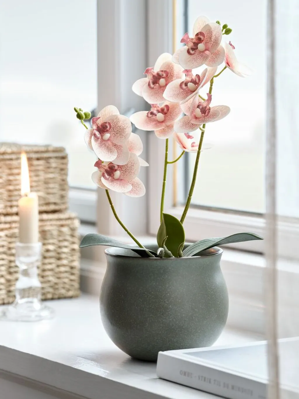 Plantas Artificiales>JYSK GUDJONPlanta artificial GUDJON A35cm orquídea rosa