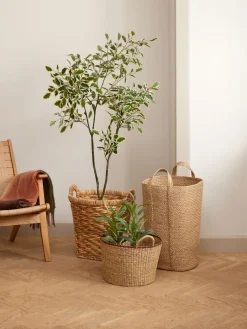 Plantas Artificiales><noscript><img width=