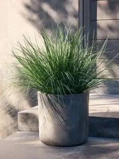 Plantas Artificiales Exterior>JYSK HAVELLEPlanta artificial HAVELLE A65cm gramínea verde