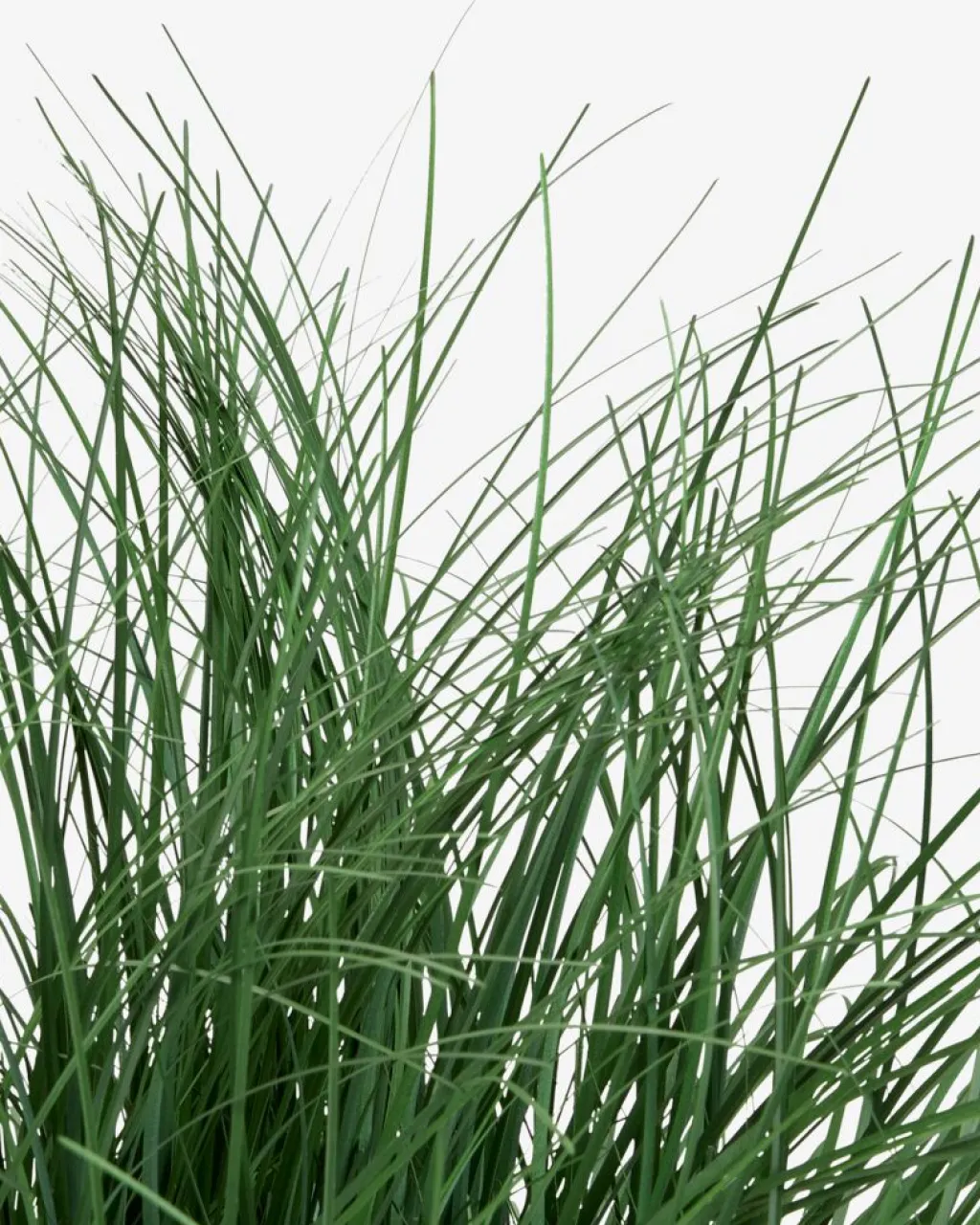 Plantas Artificiales Exterior>JYSK HAVELLEPlanta artificial HAVELLE A65cm gramínea verde