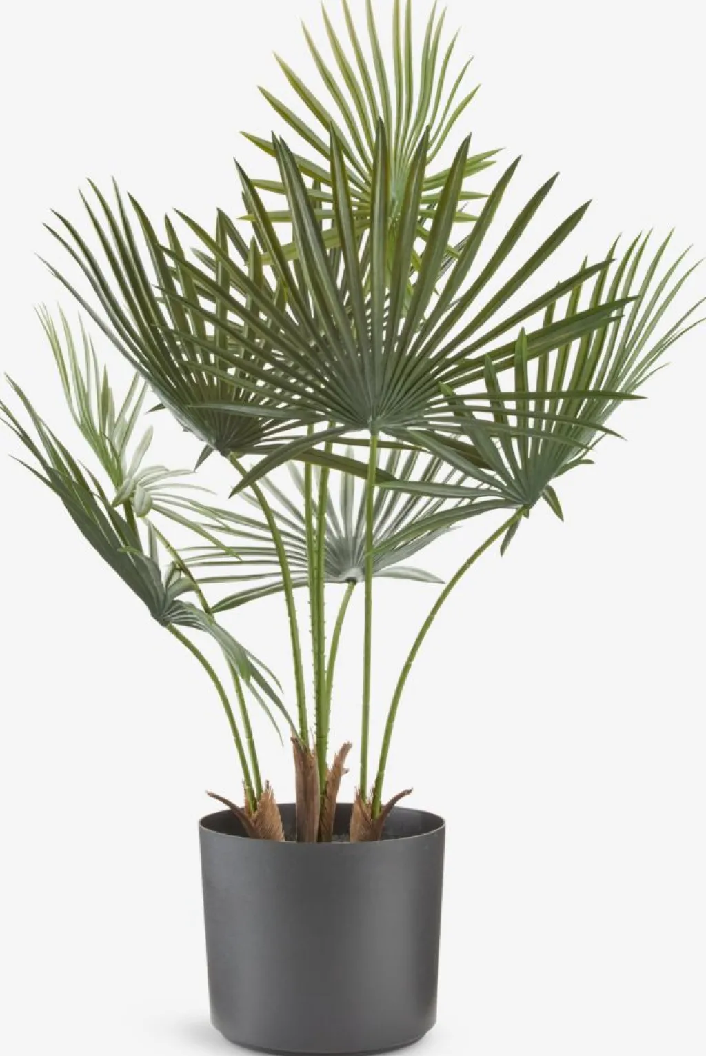 Plantas Artificiales>JYSK JAKOBPlanta artificial JAKOB A73cm verde