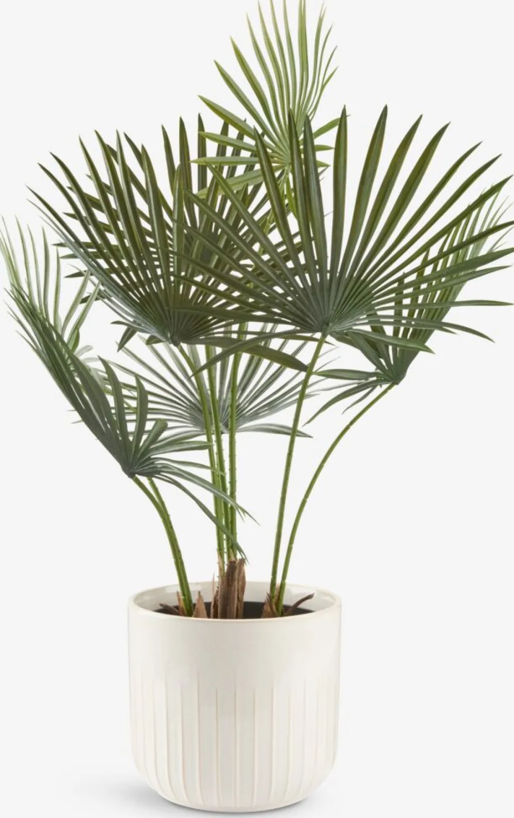 Plantas Artificiales>JYSK JAKOBPlanta artificial JAKOB A73cm verde
