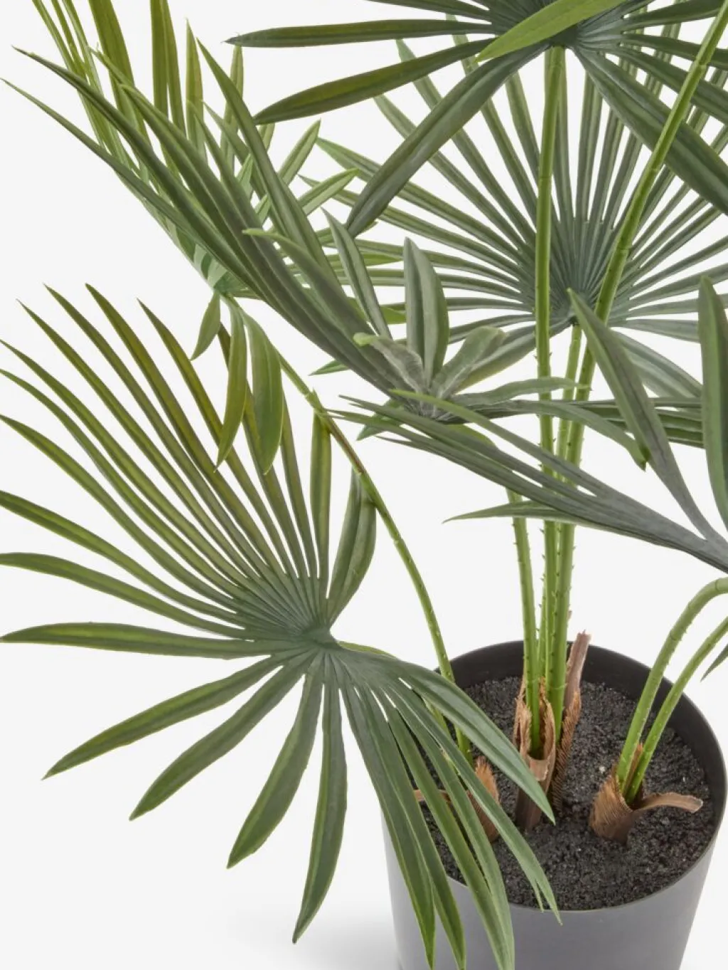 Plantas Artificiales>JYSK JAKOBPlanta artificial JAKOB A73cm verde