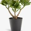 Plantas Artificiales>JYSK JOSTEINPlanta artificial JOSTEIN A23cm Crassula ovata