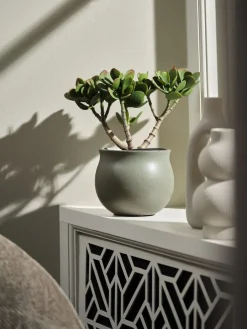 Plantas Artificiales><noscript><img width=