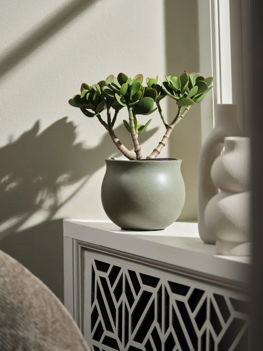 Plantas Artificiales>JYSK JOSTEINPlanta artificial JOSTEIN A23cm Crassula ovata