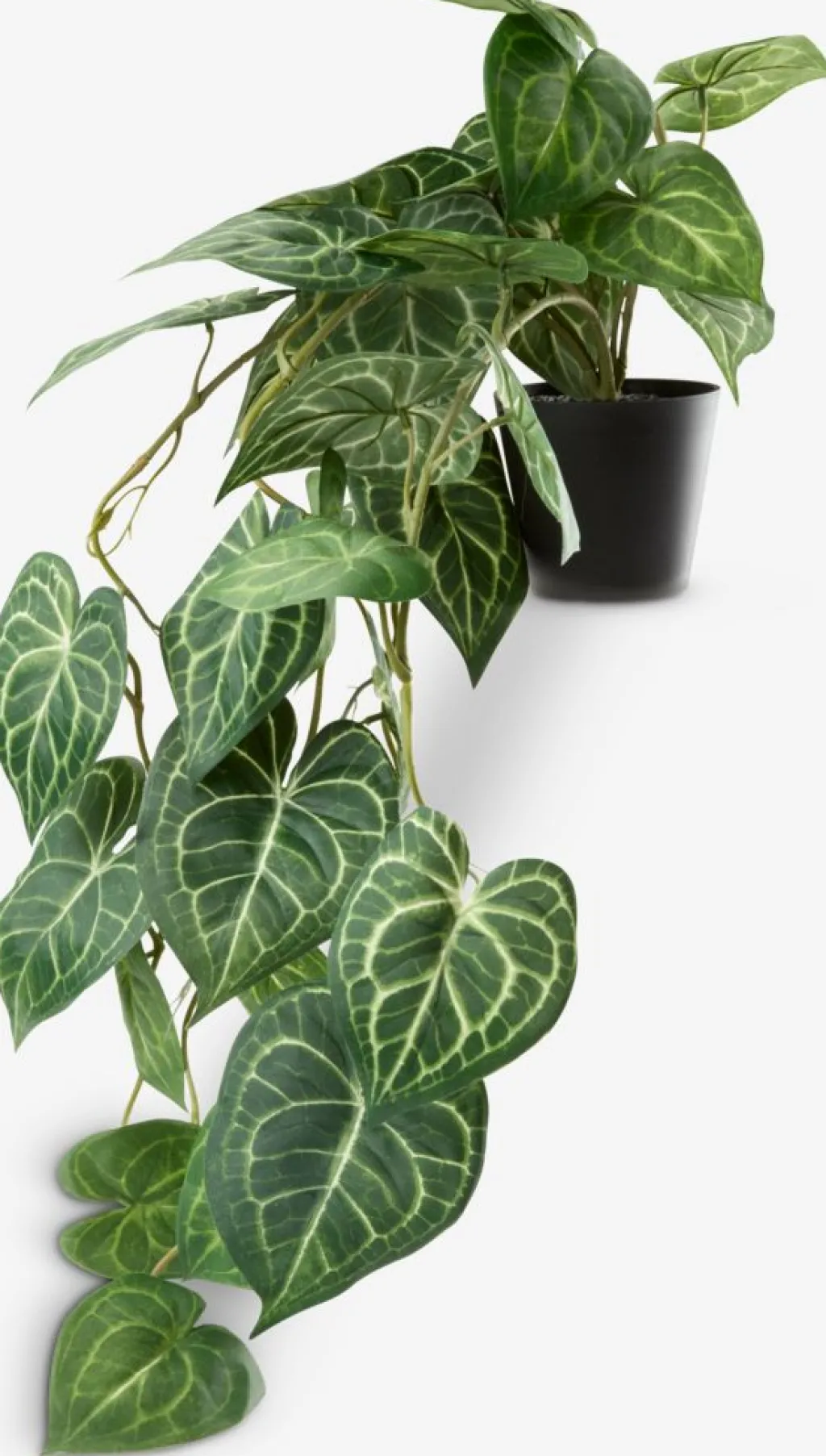 Plantas Artificiales Exterior>JYSK KNOPPSVANEPlanta artificial KNOPPSVANE A30cm verde