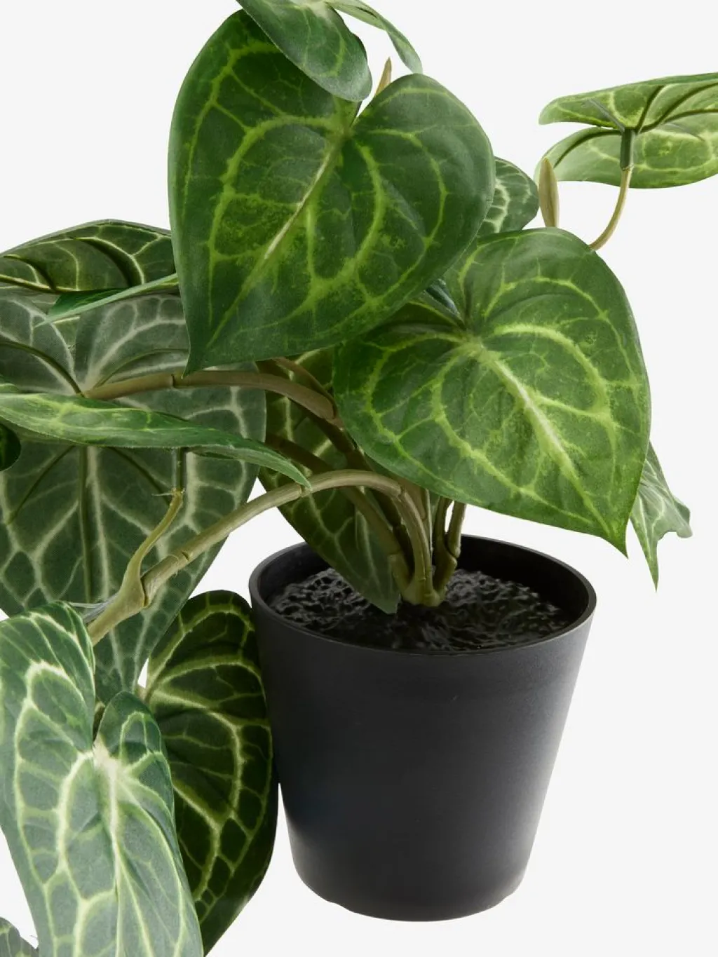 Plantas Artificiales Exterior>JYSK KNOPPSVANEPlanta artificial KNOPPSVANE A30cm verde