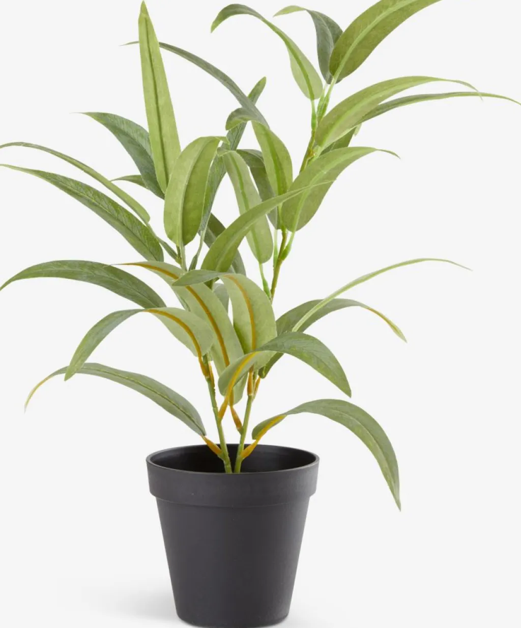 Plantas Artificiales>JYSK LARSSONPlanta artificial LARSSON Ø11xA43cm verde