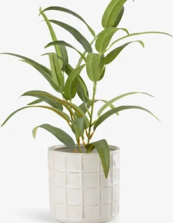 Plantas Artificiales>JYSK LARSSONPlanta artificial LARSSON Ø11xA43cm verde