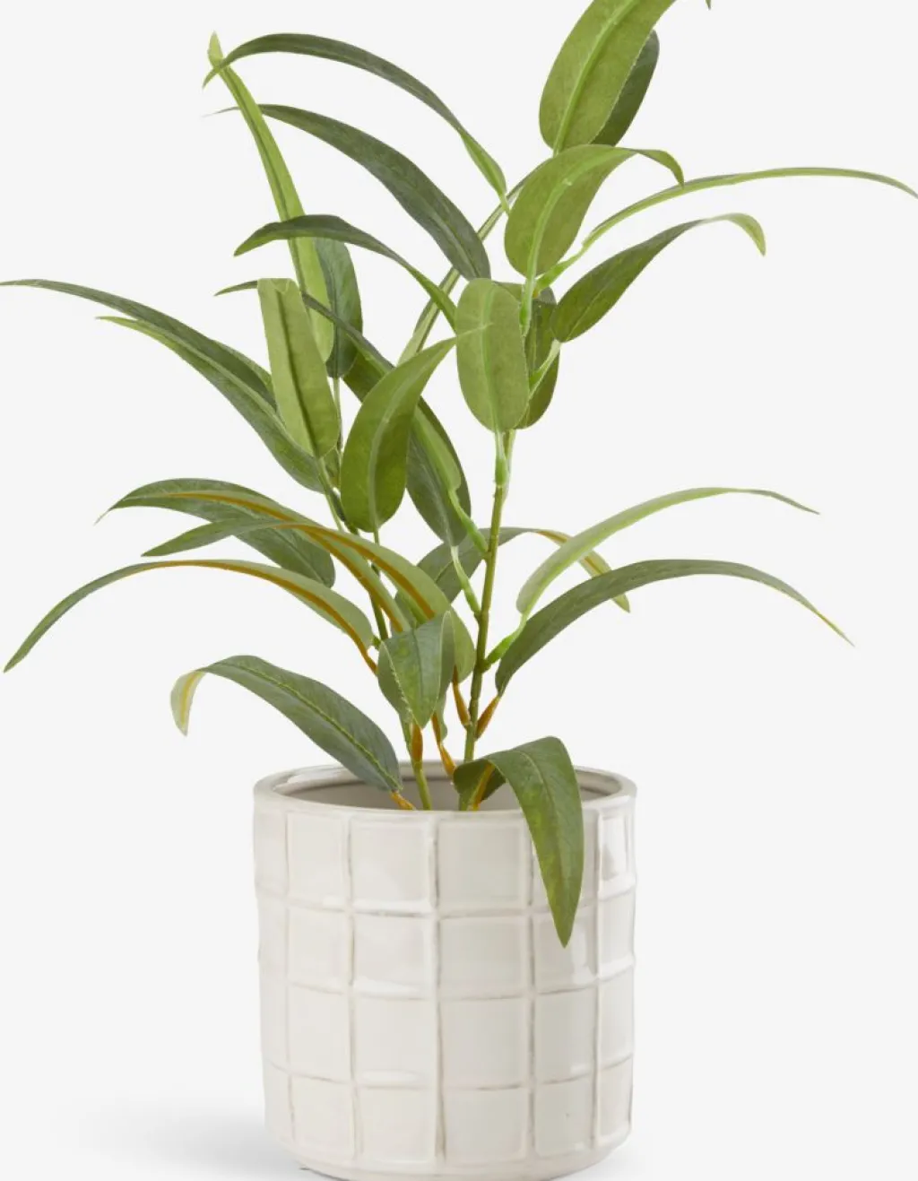 Plantas Artificiales>JYSK LARSSONPlanta artificial LARSSON Ø11xA43cm verde