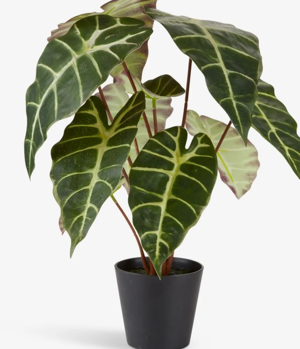 Plantas Artificiales>JYSK MARIUSPlanta artificial MARIUS Ø38xA42cm