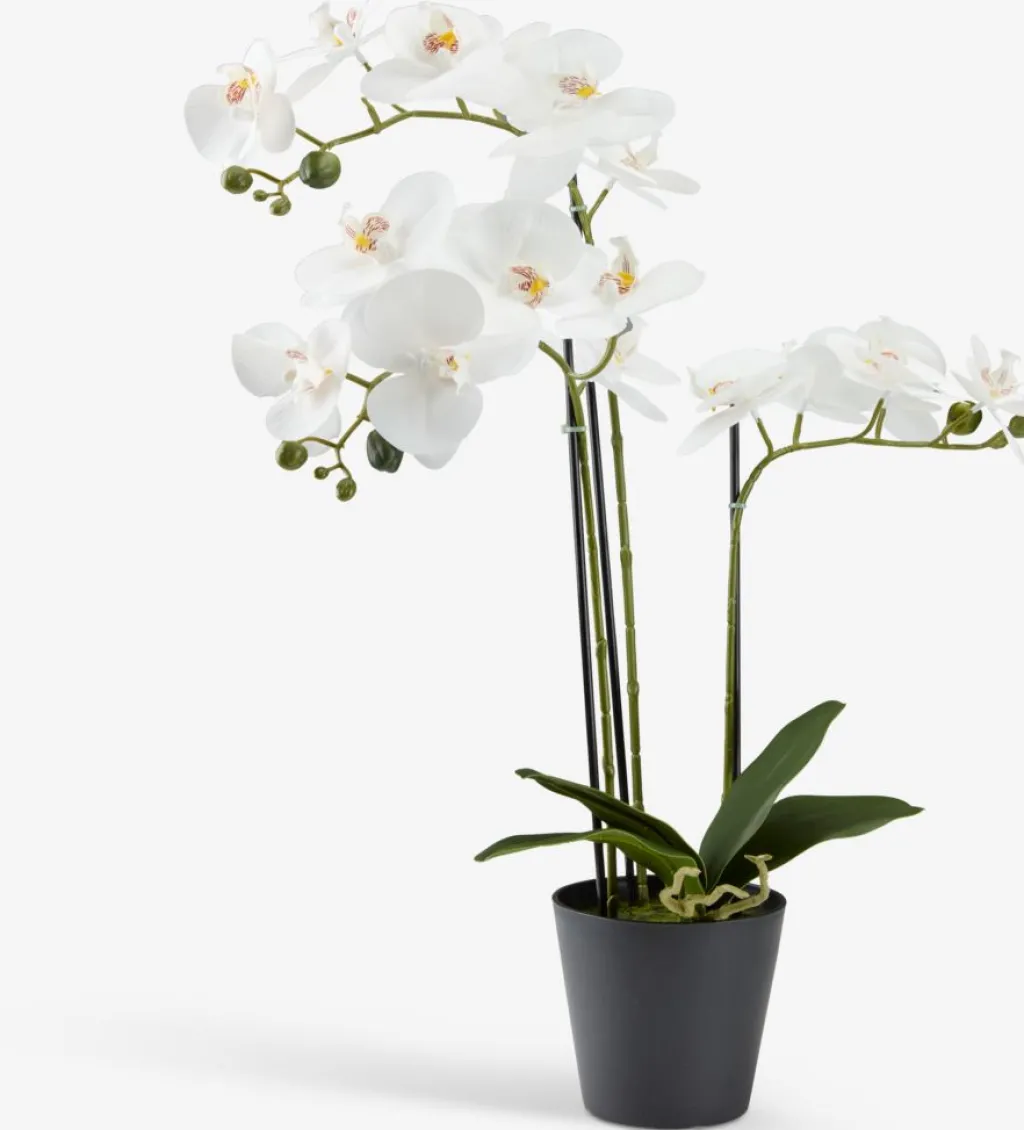 Plantas Artificiales>JYSK MATINUSPlanta artificial MATINUS A62cm orquídea blanca