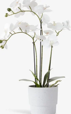 Plantas Artificiales>JYSK MATINUSPlanta artificial MATINUS A62cm orquídea blanca