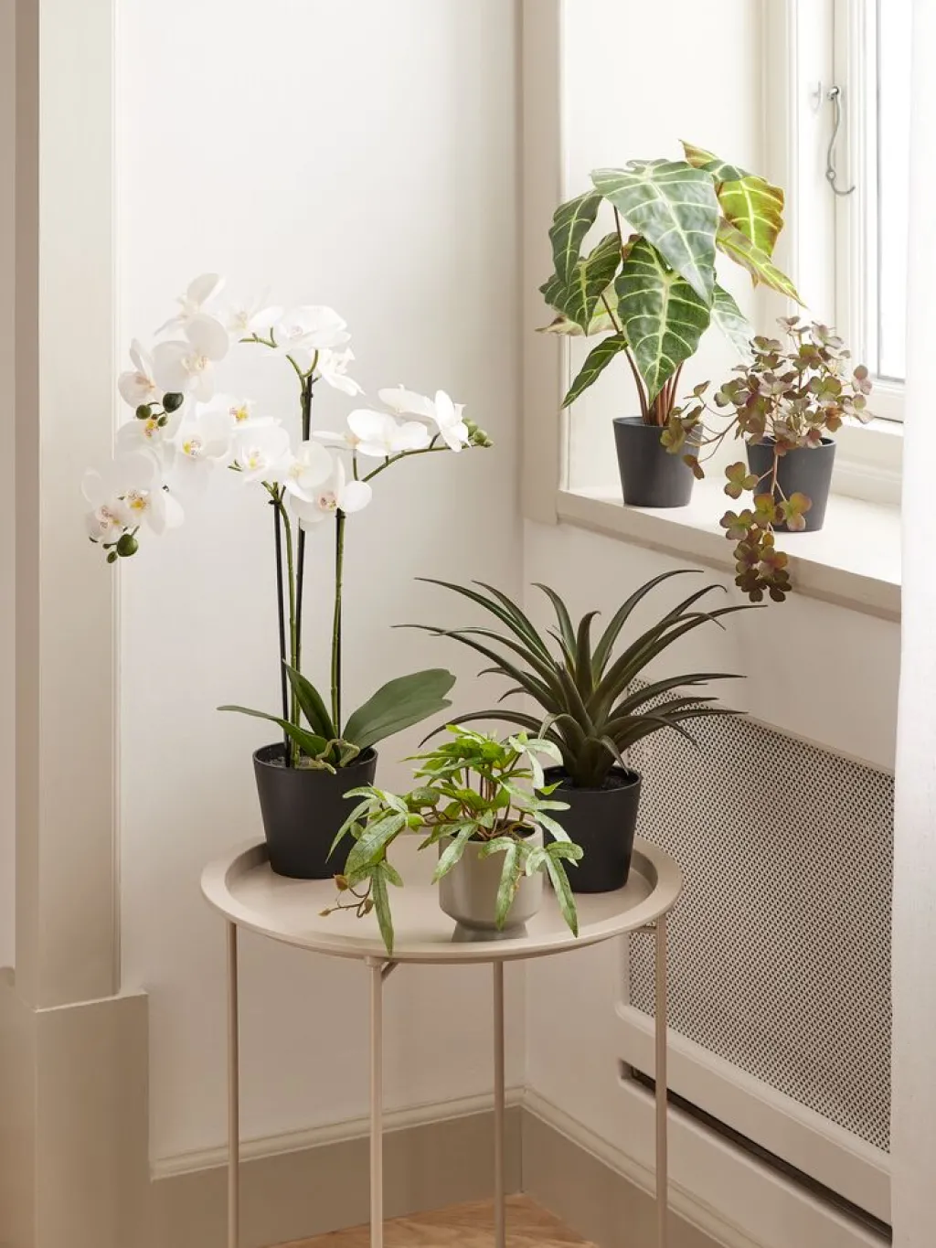 Plantas Artificiales>JYSK MATINUSPlanta artificial MATINUS A62cm orquídea blanca