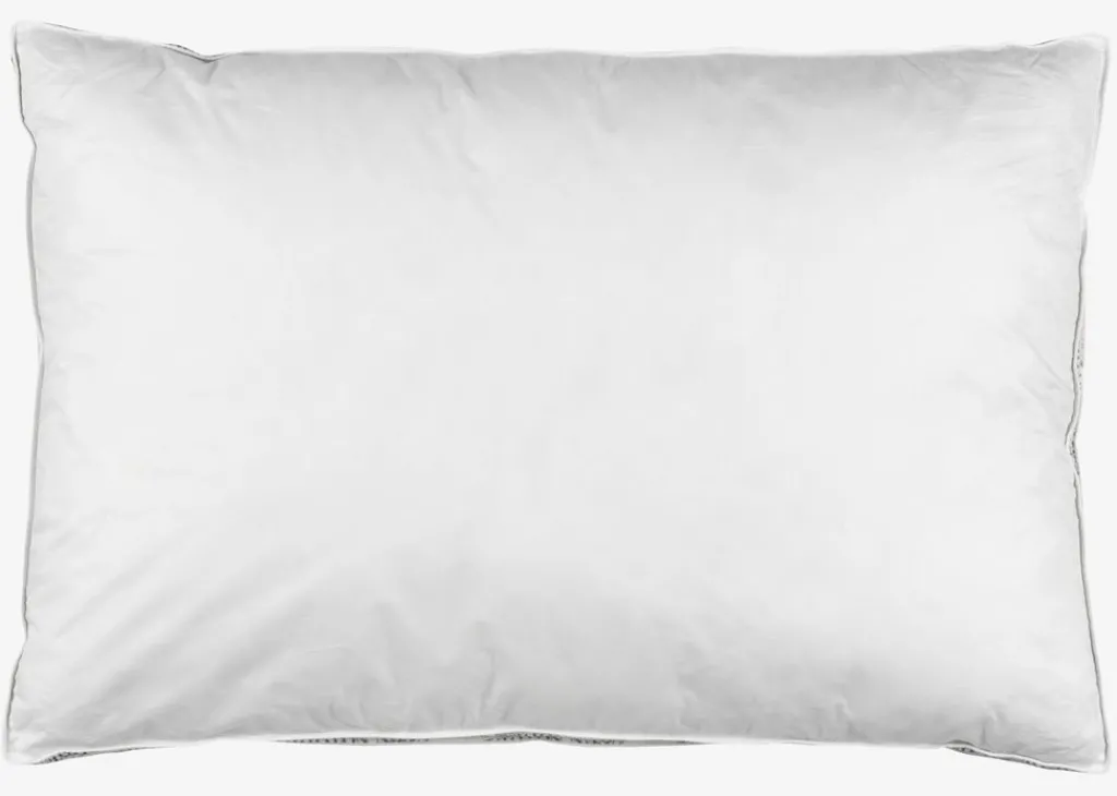 Almohadas De Plumón>JYSK NOTODDENPLUSAlmohada de plumas de pato 50x70x3 NOTODDEN