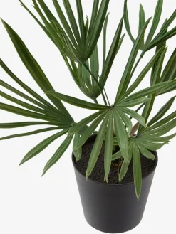Plantas Artificiales><noscript><img width=
