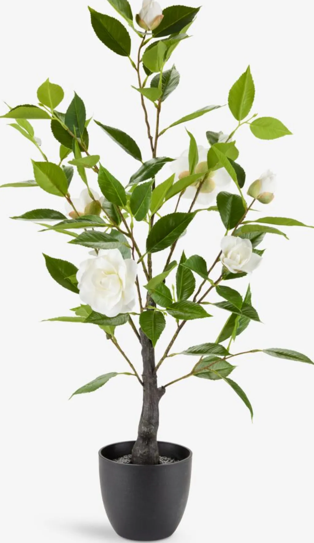 Plantas Artificiales Exterior>JYSK SOLOPGANGPlanta artificial SOLOPGANG A80 rosal blanco