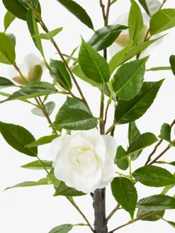 Plantas Artificiales Exterior><noscript><img width=