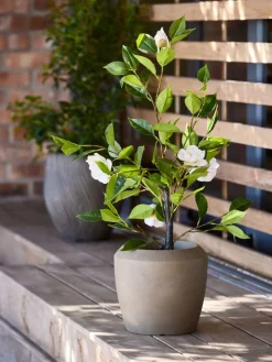 Plantas Artificiales Exterior><noscript><img width=
