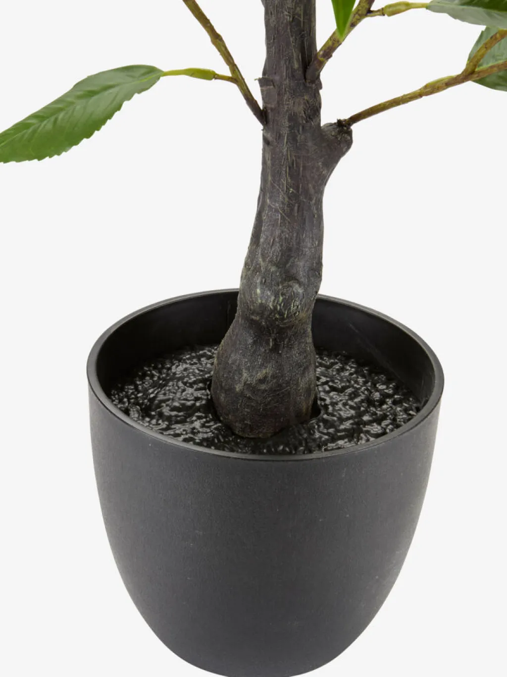 Plantas Artificiales Exterior>JYSK SOLOPGANGPlanta artificial SOLOPGANG A80 rosal blanco