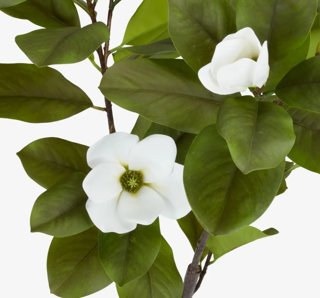Plantas Artificiales Exterior>JYSK SPINDELPlanta artificial SPINDEL A120cm verde/blanco magnolia